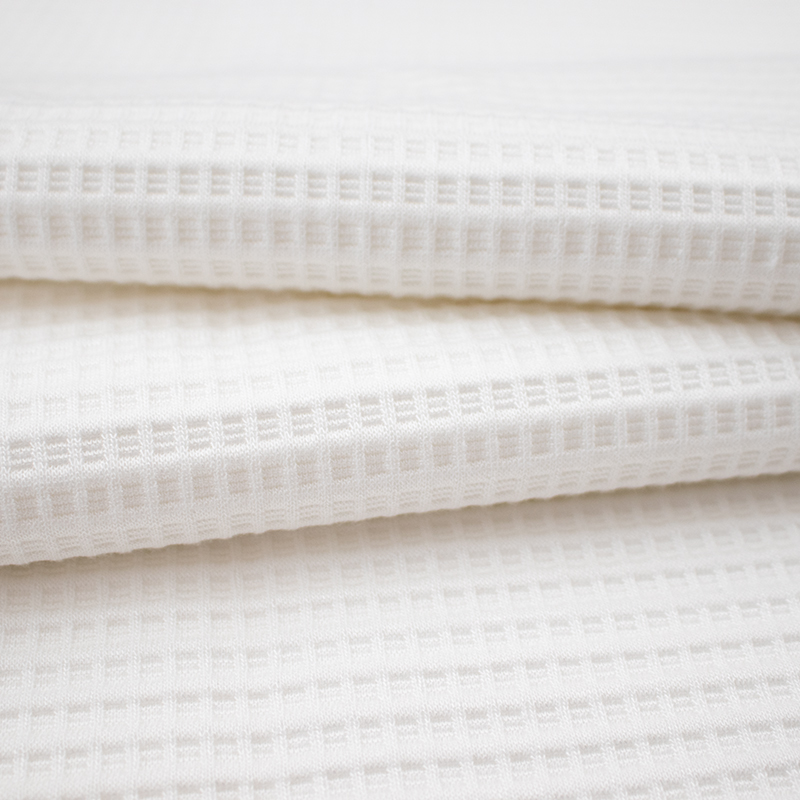 Tencel Pregnancy Pillow Tela